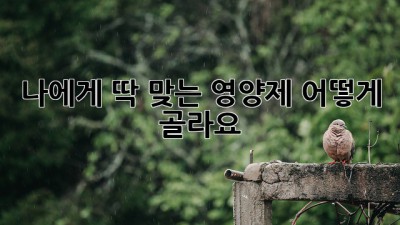 나에게 딱 맞는 영양제, 어떻게 골라요?