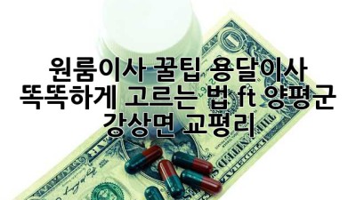 원룸이사 꿀팁🍯 용달이사 똑똑하게 고르는 법 (ft. 양평군 강상면 교평리)