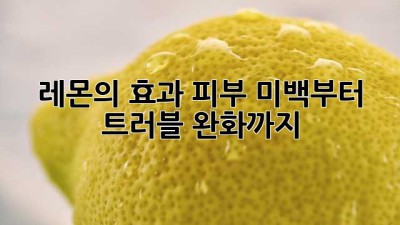 레몬의 효과: 피부 미백부터 트러블 완화까지🍋