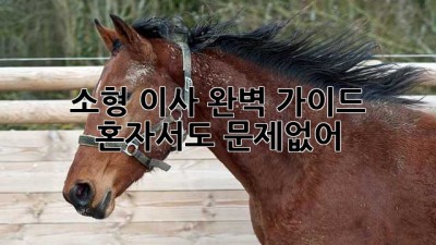 소형 이사 완벽 가이드 🚚📦 혼자서도 문제없어!