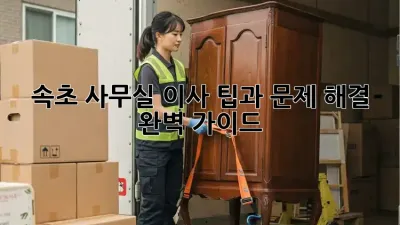 속초 사무실 이사, 팁과 문제 해결 완벽 가이드!